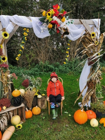 c74c90a8-06a7-4e9d-b5d1-d68d7cf15446