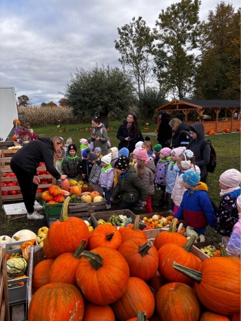 482d95db-874c-4b16-9492-ca9c8cafcc4a