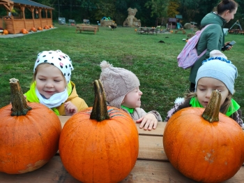 578c614f-e560-41b3-98c2-1e14d54e5ef6