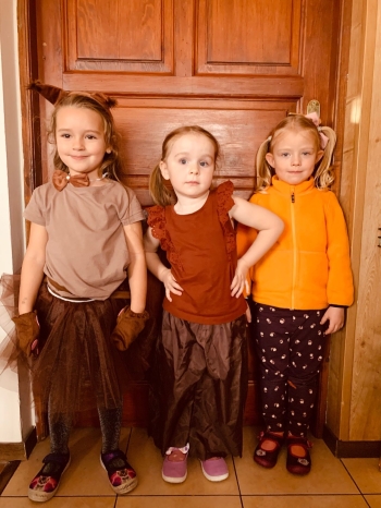 d00c46f0-00bf-4c77-a7b4-59bfe42fa4b2