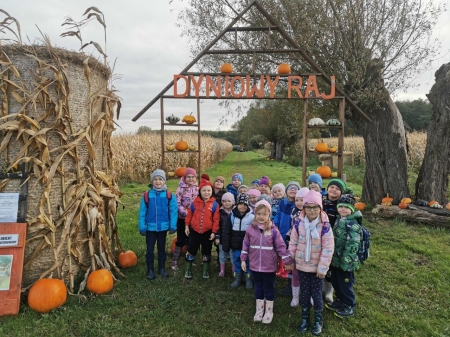 Pole dyniowe- Sówki